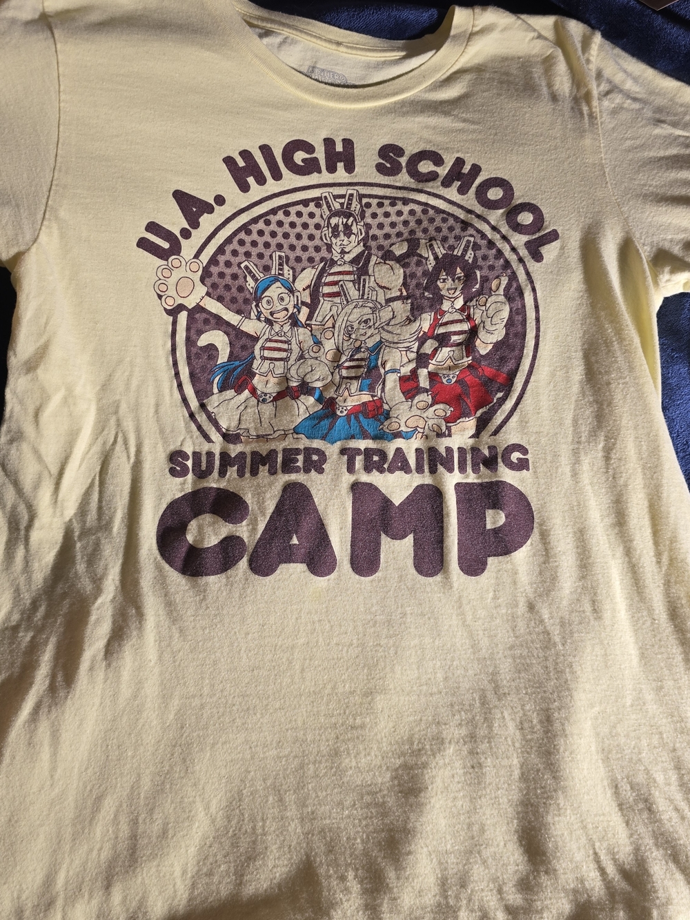 Funimation U.A. High School Summer Training Camp Graphic Tee Anime, Medium Y2K